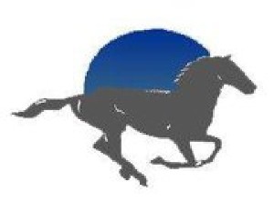western-cape-equine-trust_1
